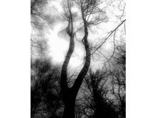 ������ �� ���, ������ (c)