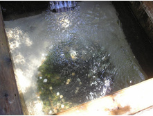 ���� � ��������