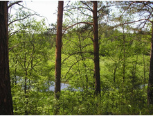 �������� ���