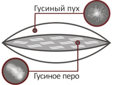 ����� ������� �������.jpg