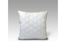 ������� ����