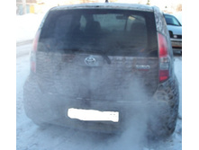 ������ ���.jpg