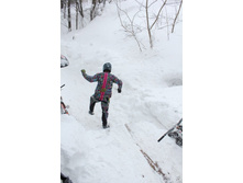 y_41c81e73.jpg