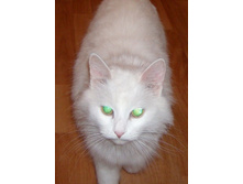 ���� �������� 2007 ���� 003.jpg