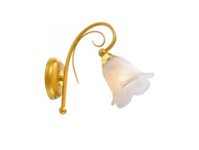 ��� «����» 1-��������  558,73�.