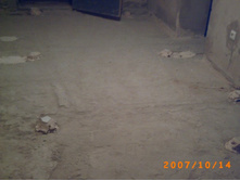 ���������:)