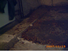 ������ � ������������