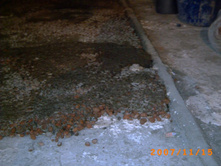 �������������:)