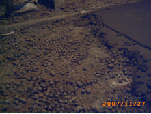 ���������� ����