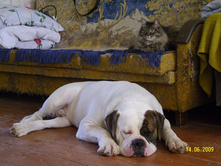 ���� � ���� � �������.JPG