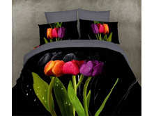 ������ ����.jpg