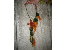 ����� "���������� ����"