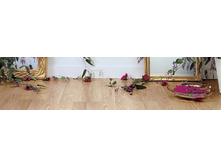 33 �����. ROBINSON PREMIUM. 532���.+% 