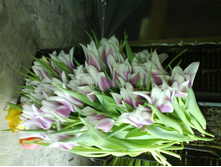 �������-1