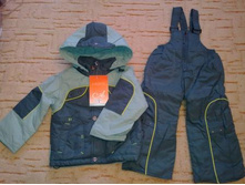 ������ Arista ����� 1920�