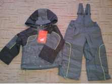 ������ Arista ����� 1920�