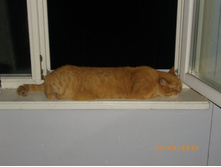 DSC00003.JPG