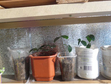 ������� ������ ���������