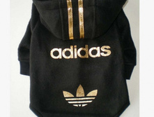 14.03.2011 11:23:41