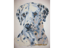 ��� ������ ������