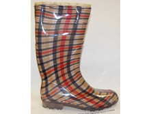 ��������� ������ ����������, 1650 ���.