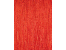 ���� ���������� �������.jpg