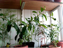 �������� �������.JPG