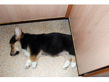 ����������� 002 �����.jpg