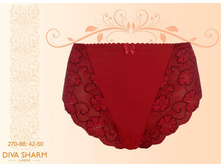 480 �. �������