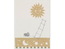 ���� Bo-�as-a ��������  ������ 75�100 ���.su-nny bio cotton 100 ������ ���� 571 �+%.jpg