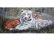   ����� ���� 