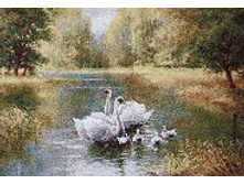 ����� � ������ 