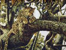 ������� �� ������ 