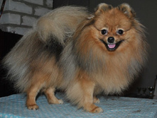 ���� �������������� �������.jpg