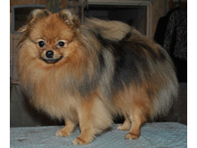 ���� ��������� ���� ������.jpg