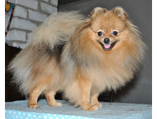 ���� ��������� ����.jpg