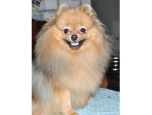 ���� ���������.jpg