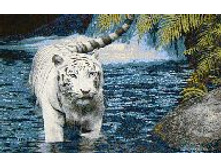 ���� � ���� 