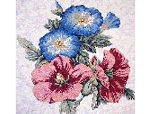 ��� ���� 