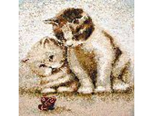   � �������� 