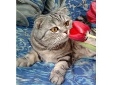 ����0144 - �����.jpg