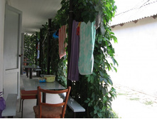 ����������� 457.jpg