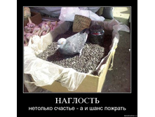75122700.jpg