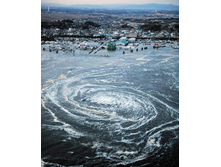 ���� 2011 ������ ������.jpg