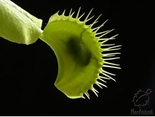 ������ 3.jpg