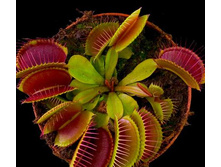 ������ 2.jpg