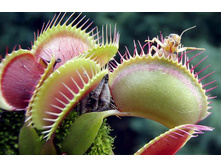 ������ 7.jpg