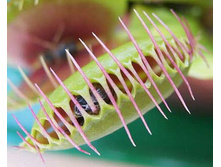 ������ 9.jpg