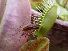 ������ 5.jpg