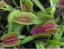 ������ 10.jpg